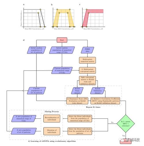 發(fā)展認(rèn)知神經(jīng)科學(xué)視域下基于可解釋人工智能模型的嬰兒fNIRS數(shù)據(jù)分析與基礎(chǔ)軟件開(kāi)發(fā)